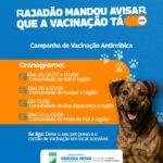 Várzea Nova promove atualização da caderneta de vacinação para todas as faixas etárias