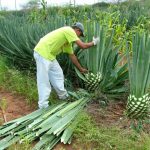 Hoje é Dia de Receber o Auxílio Financeiro para Estudantes do EJAI