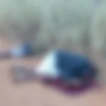 Coopervarzea em Nova Fase: Estatuto Aprovado e Nova Diretoria Eleita