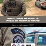 Operação erradica e incinera 140 mil pés de maconha em Ibotirama e Abaré